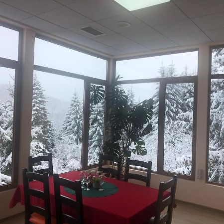 Genco Hotel Mountain View Predeal Εξωτερικό φωτογραφία