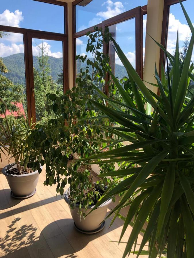 Genco Hotel Mountain View Predeal Εξωτερικό φωτογραφία