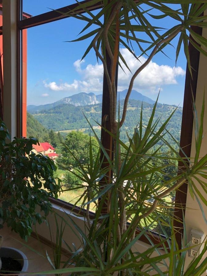 Genco Hotel Mountain View Predeal Εξωτερικό φωτογραφία