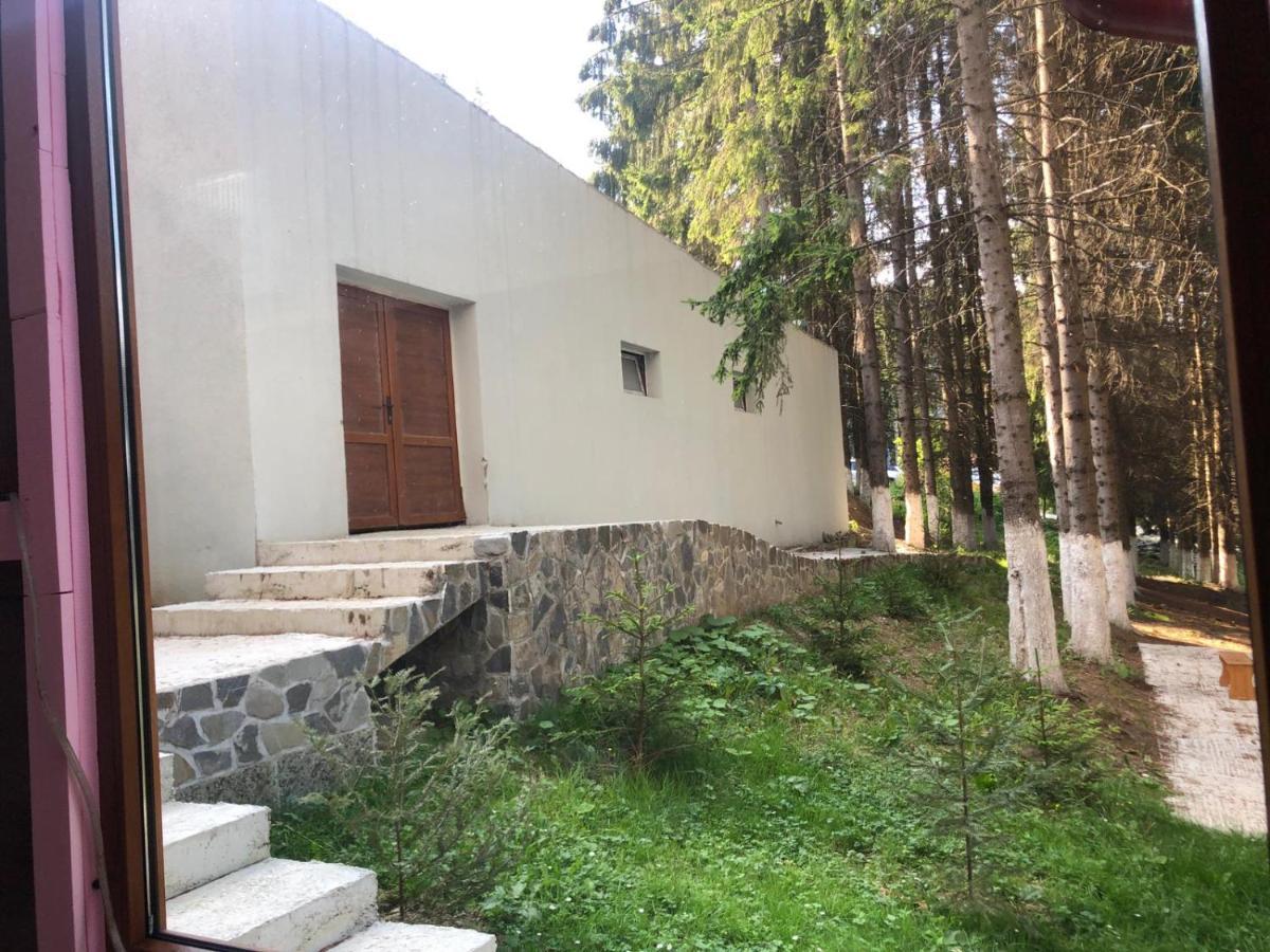 Genco Hotel Mountain View Predeal Εξωτερικό φωτογραφία