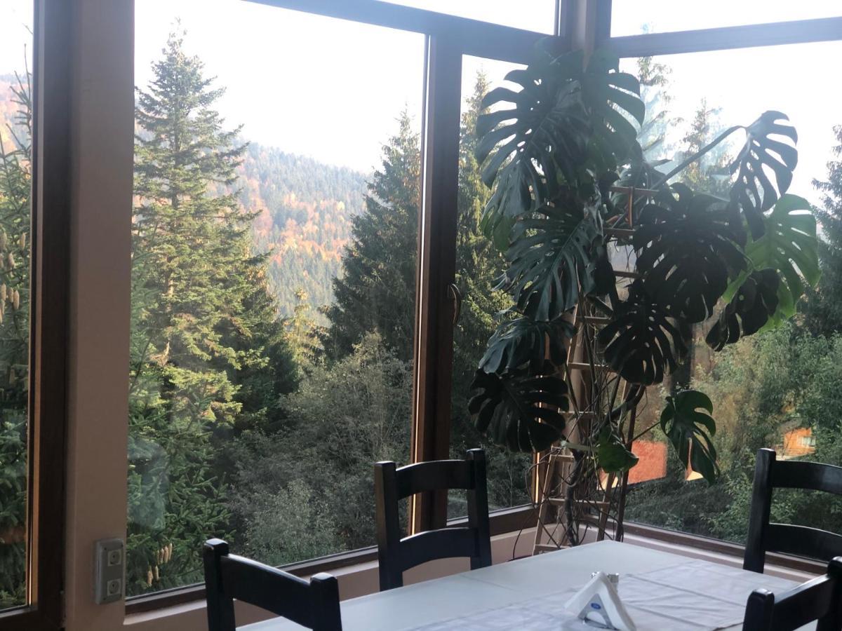 Genco Hotel Mountain View Predeal Εξωτερικό φωτογραφία