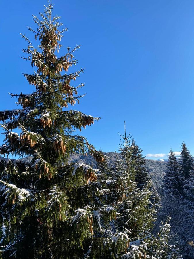 Genco Hotel Mountain View Predeal Εξωτερικό φωτογραφία