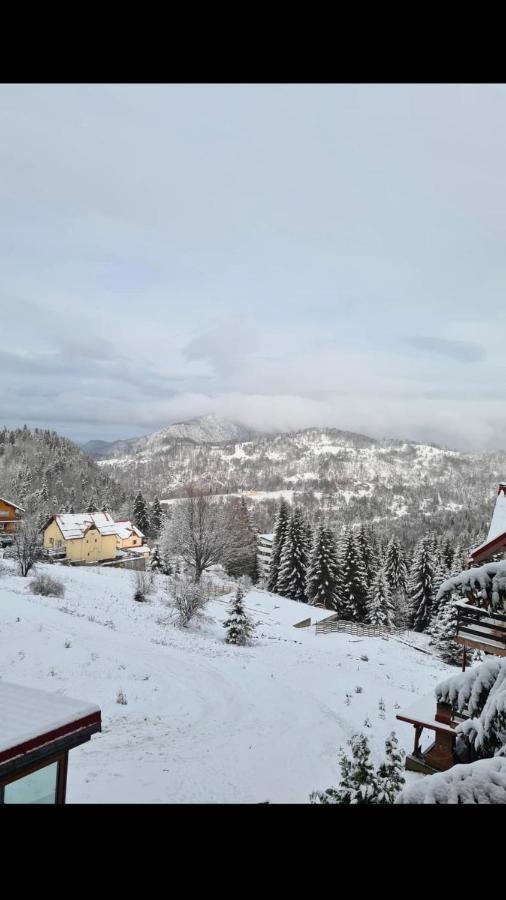 Genco Hotel Mountain View Predeal Εξωτερικό φωτογραφία